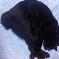 おやすみなさい😴