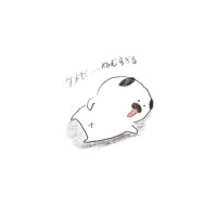 おはようございます☀