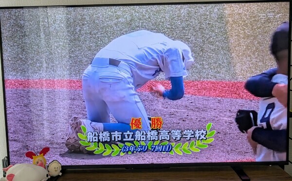 高校野球⚾️