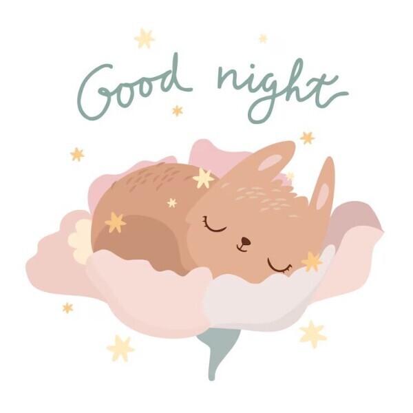 🌙