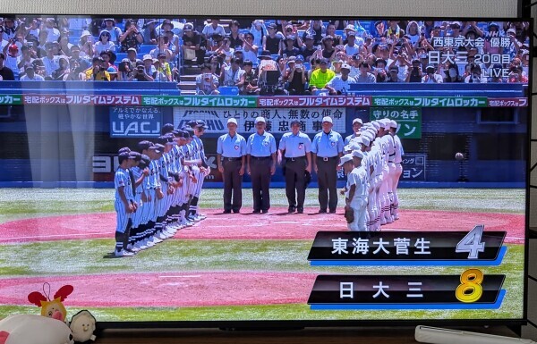 高校野球⚾️