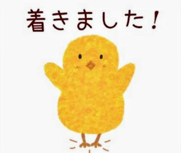 出勤しました😌