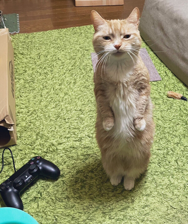 終わったー😣💦⤵️