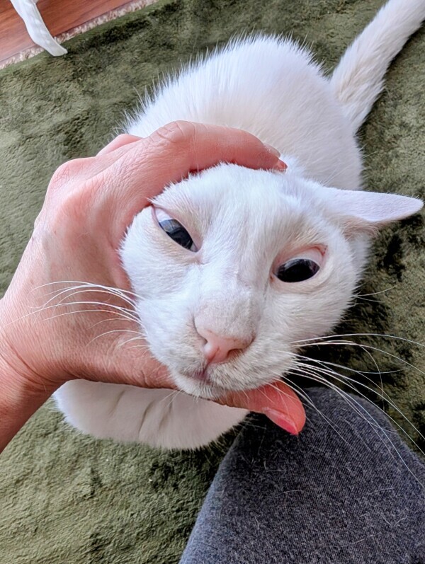 強めに💕