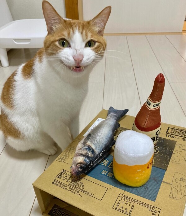暑いけど☀️