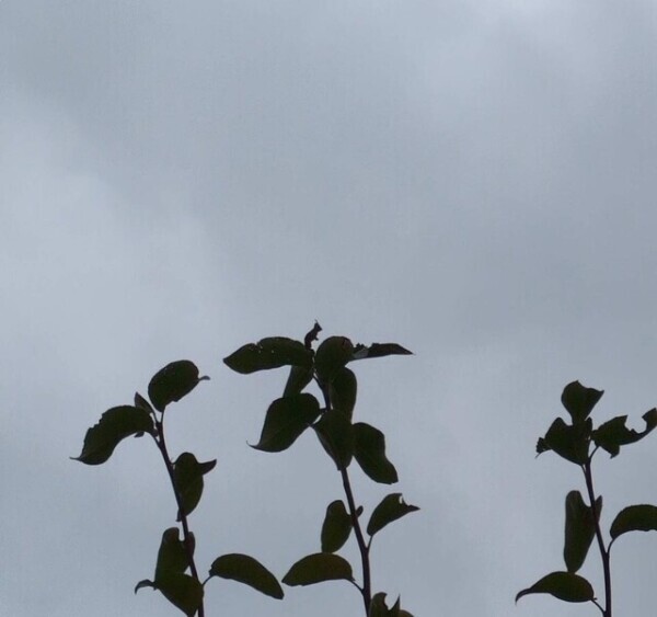 台風が近ずいてますね🌀