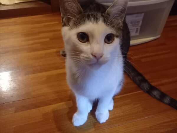 はい😸お出迎え♥️