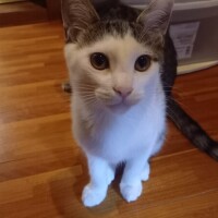 はい😸お出迎え♥️