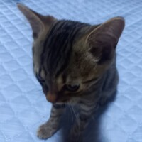 おやすみなさい😴