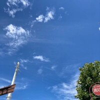 台風一過🌀いいお天気ですね🌞