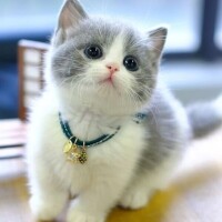 ☺️