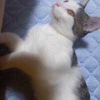 おはようございます☀️