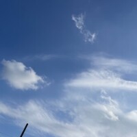 おはよう☀️