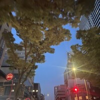 受付け終了です