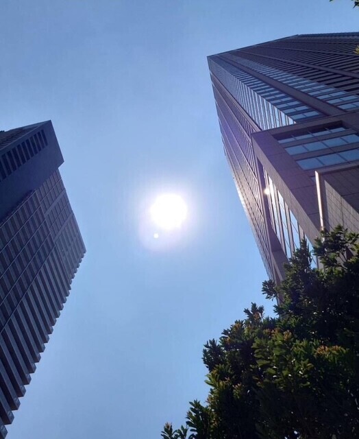 すごい日差しですね☀️