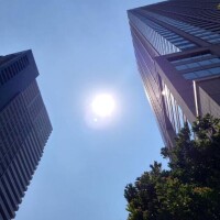 すごい日差しですね☀️