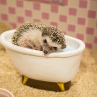 ⭐️今日も1日お疲れ様です⭐️