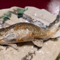 🐟