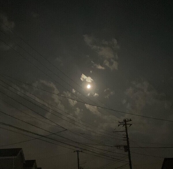 こんばんは