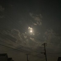 こんばんは