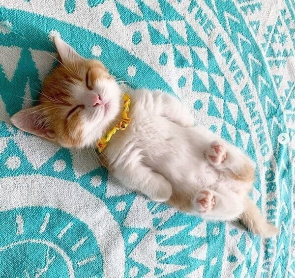 ☀