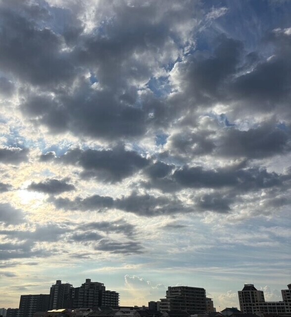 おはようございます☀️