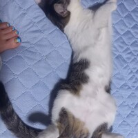 おはようございます☀️