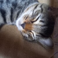 おやすみなさい😴