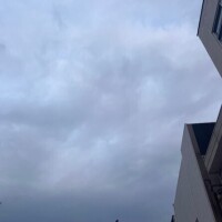 出勤しました✨
