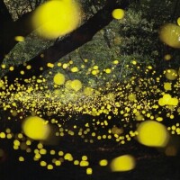 ⭐️今日も1日お疲れ様です⭐️