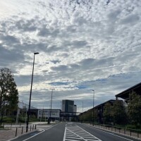 お盆ですね🌼