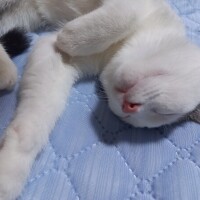 おはようございます🌥️