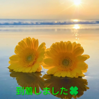 出勤しました😌