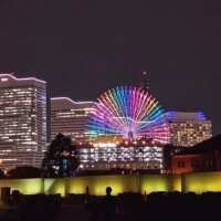 御一行様お散歩👣