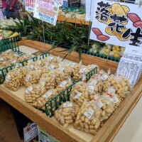 落花生♪