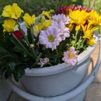 お墓参り🌷
