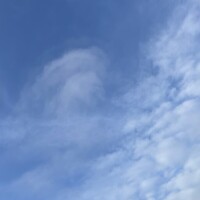 おはよっᕷ*.°