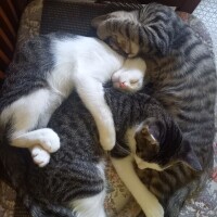 おはようございます🌞