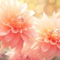 ありがとうございました❤️
