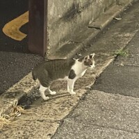 いたー