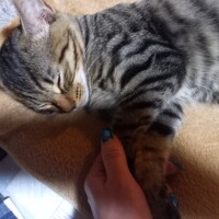 おやすみなさい😴