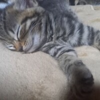 おやすみなさい😴