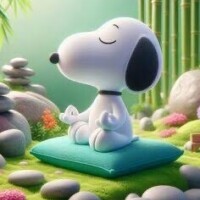 (火)お休みです🙏✨