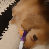 ✨🪷出勤します🪷✨