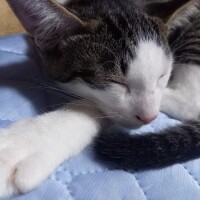 おはようございます☀️