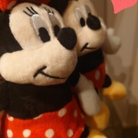 ✨🪷ありがとうございました🪷✨