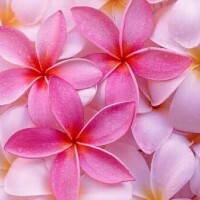ありがとうございました❤️