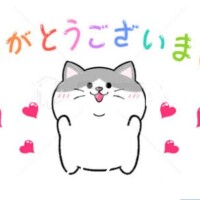 Hｻﾏありがとうございます✨️