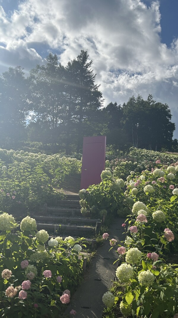 image0.jpeg