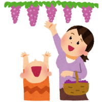 気になる広告🍇